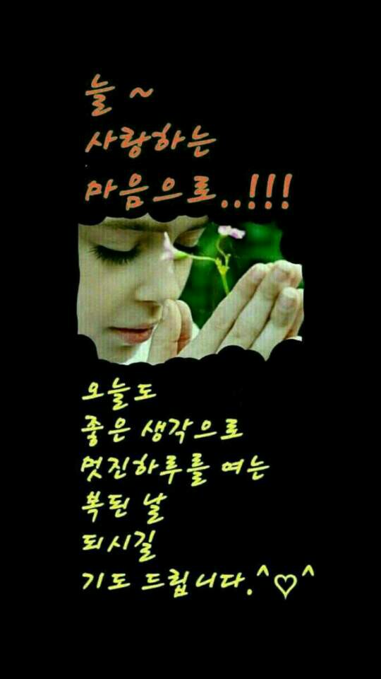 원본사진보기