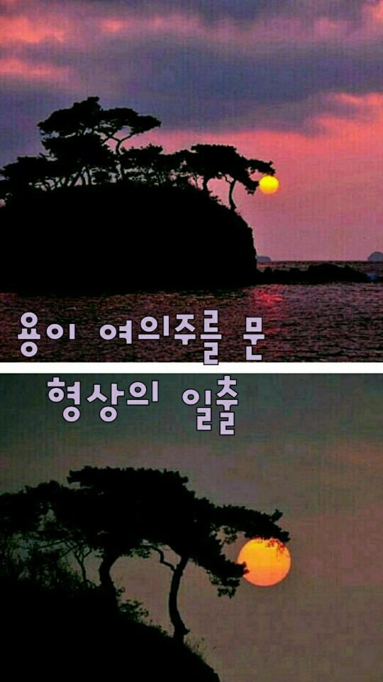 원본사진보기