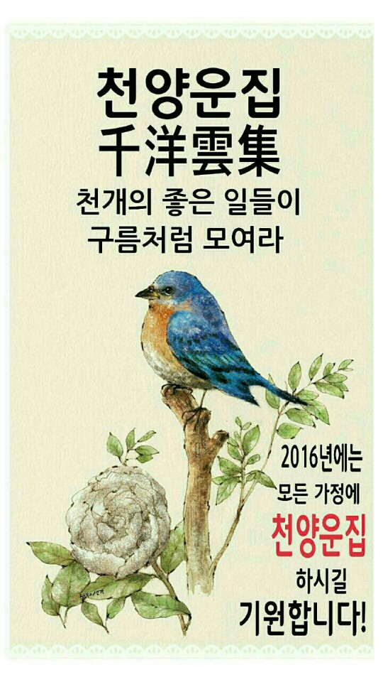 원본사진보기