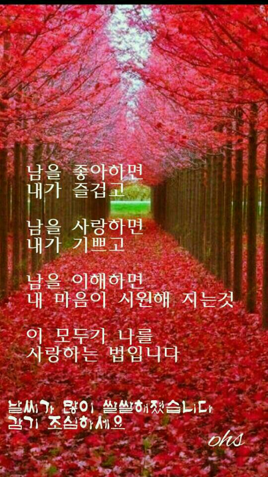 원본사진보기