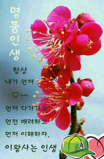 원본사진보기