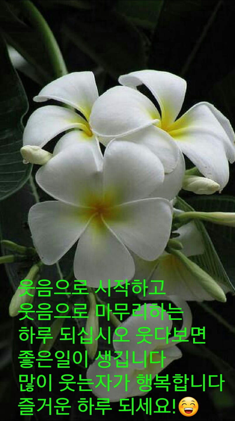 원본사진보기