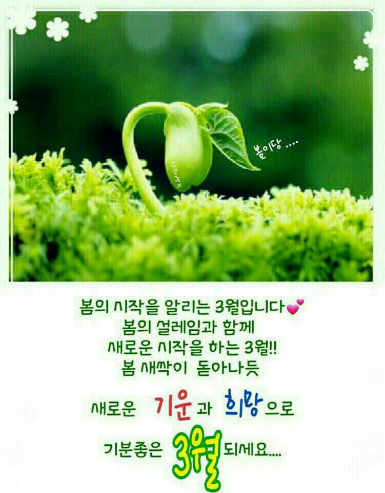 원본사진보기