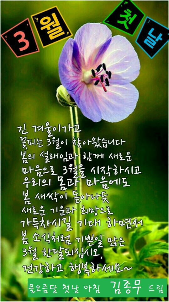 원본사진보기