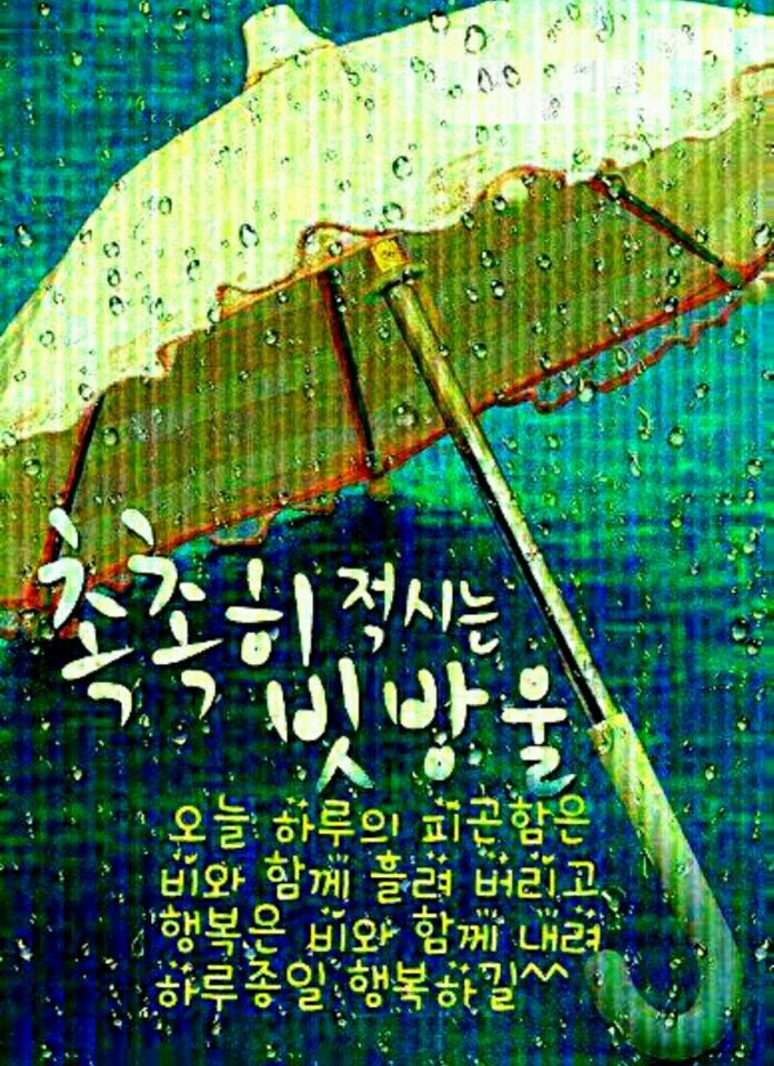 원본사진보기