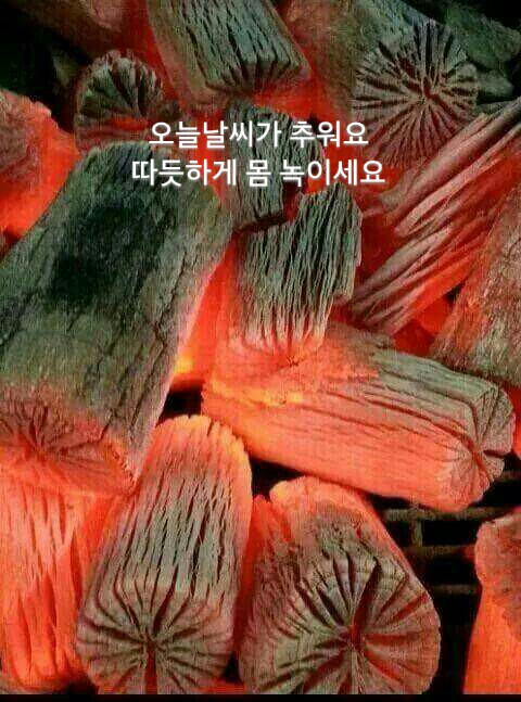 원본사진보기